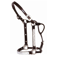 Circle Y Show Halter Engraved Silver Horse Size 0619-00