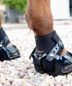 Horse Boots